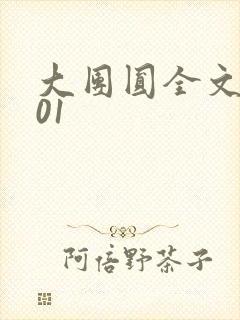 大团圆全文阅读01