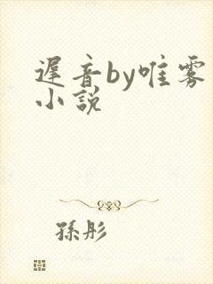 迟音by唯雾的小说