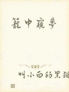 笼中窥梦封面