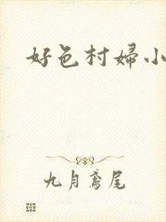 好色村妇小银贼
