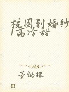 校园到婚纱1V1高冷甜