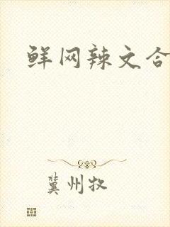 鲜网辣文合集封面