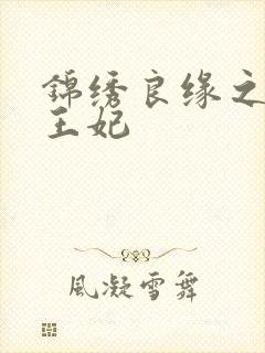 锦绣良缘之北地王妃封面