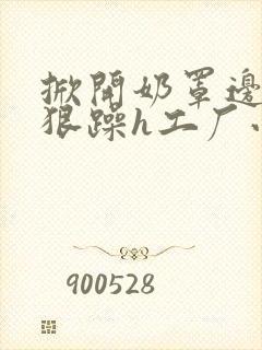 掀开奶罩边躁狠狠躁h工厂小说封面