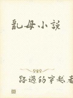 乱母小说
