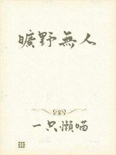 旷野无人封面
