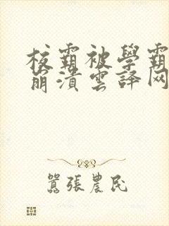 校霸被学霸玩到崩溃云译网封面