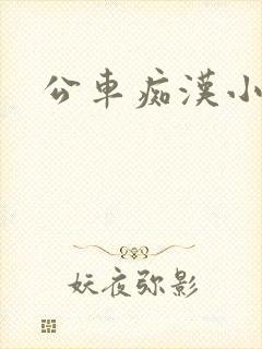 公车痴汉小说封面