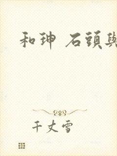 和珅 石头与水