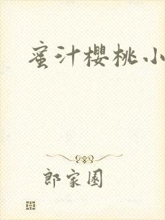 蜜汁樱桃小说封面