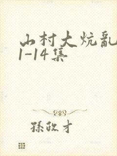 山村大炕乱肉续1-14集封面