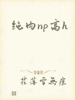 纯肉np高h封面