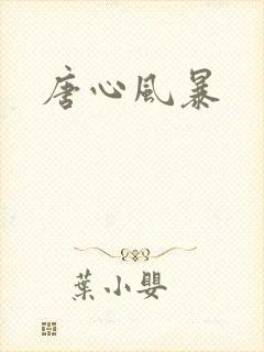 唐心风暴