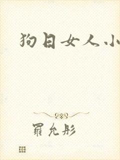 狗日女人小说