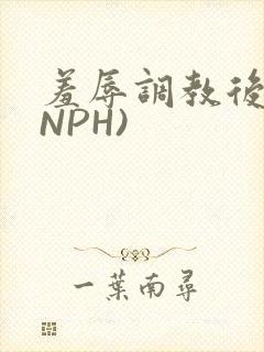 羞辱调教后宫(NPH)封面