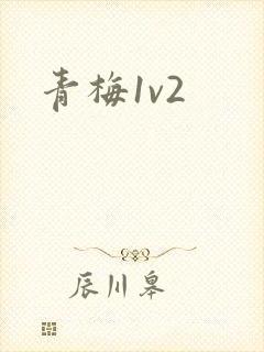 青梅1v2封面