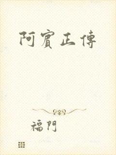 阿宾正传