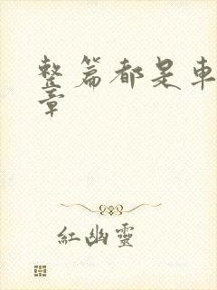 整篇都是车的文章