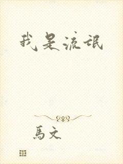 我是流氓封面