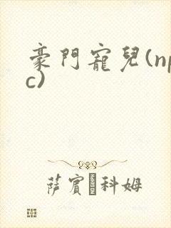 豪门宠儿(npc)