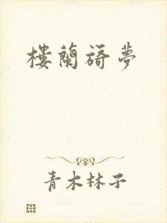 楼兰旖梦封面