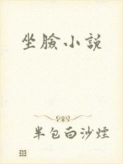 坐脸小说