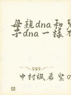 母亲dna和儿子dna一样不
