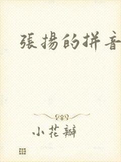 张扬的拼音