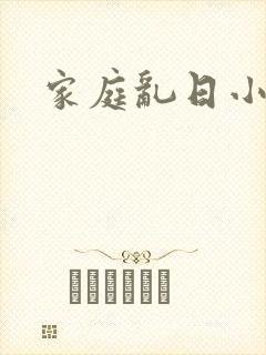 家庭乱日小说封面