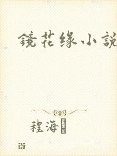 镜花缘小说