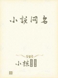 小说网名