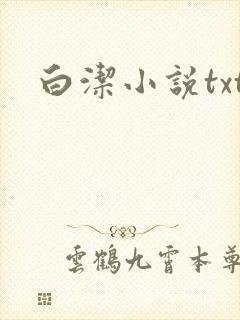 白洁小说txt