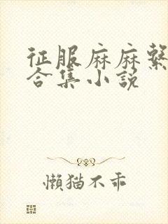 征服麻麻系列大合集小说