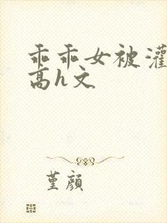 乖乖女被灌满精高h文