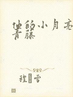 他的小月亮by青藤