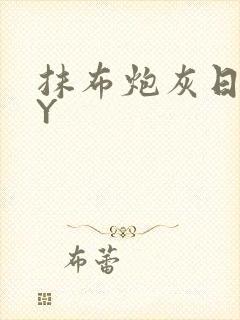 抹布炮灰日记BY封面