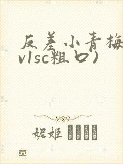 反差小青梅(1v1sc粗口)