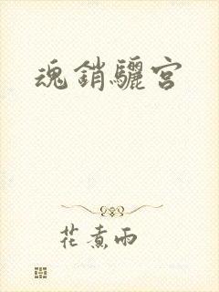 魂销骊宫封面