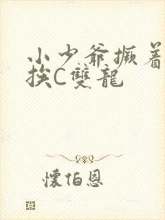 小少爷撅着屁股挨C双龙封面