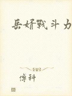 岳婿战斗力封面