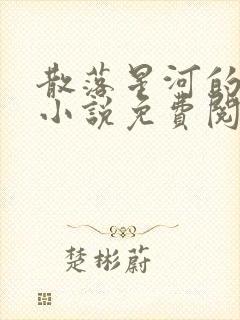 散落星河的记忆小说免费阅读全文封面