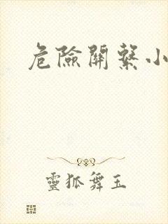危险关系小说