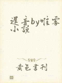 迟音by唯雾的小说