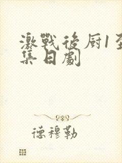 激战后厨1至5集日剧封面