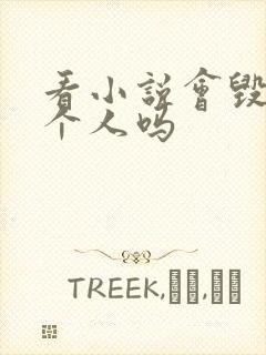 看小说会毁掉一个人吗封面
