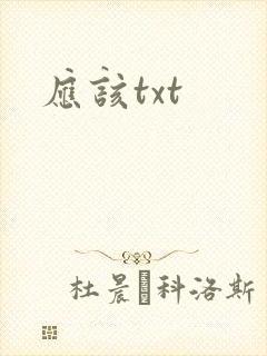 应该txt封面