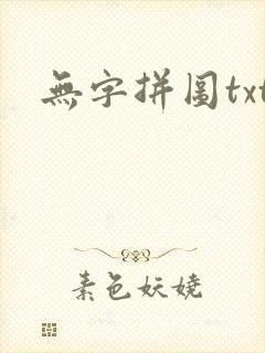 无字拼图txt
