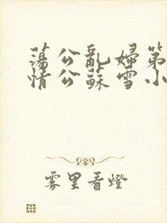 荡公乱妇第1章情公苏雪小说封面