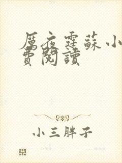 厉夜霆苏小汐免费阅读封面