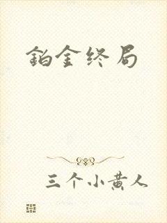 铂金终局封面